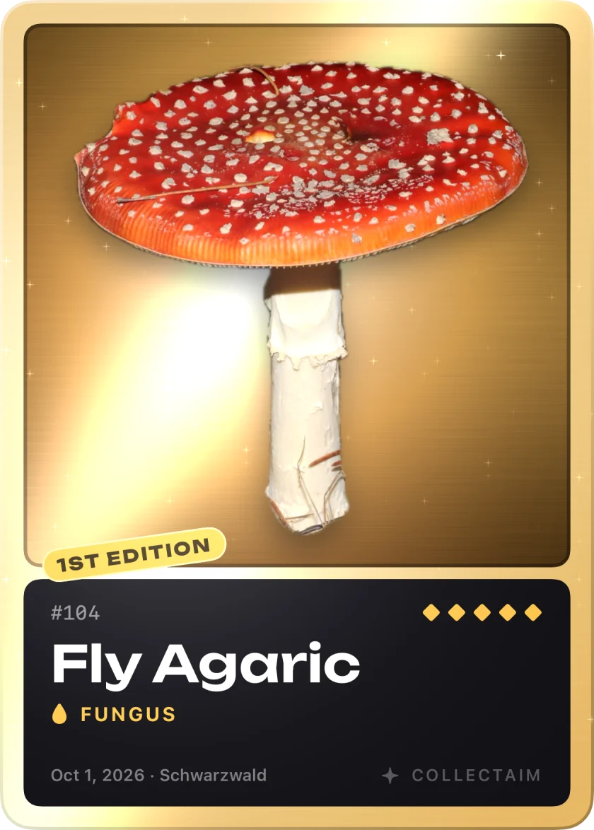 Fly Agaric, a legendary card