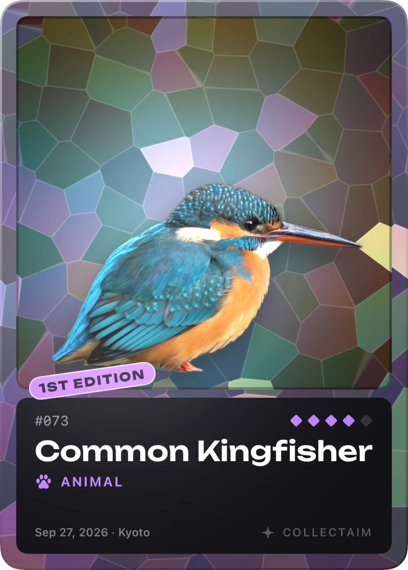 Common Kingfisher, an epic card