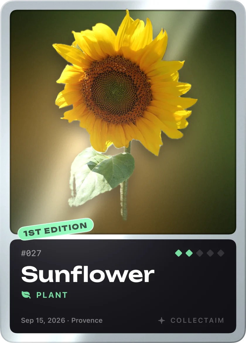 Sunflower, an uncommon card